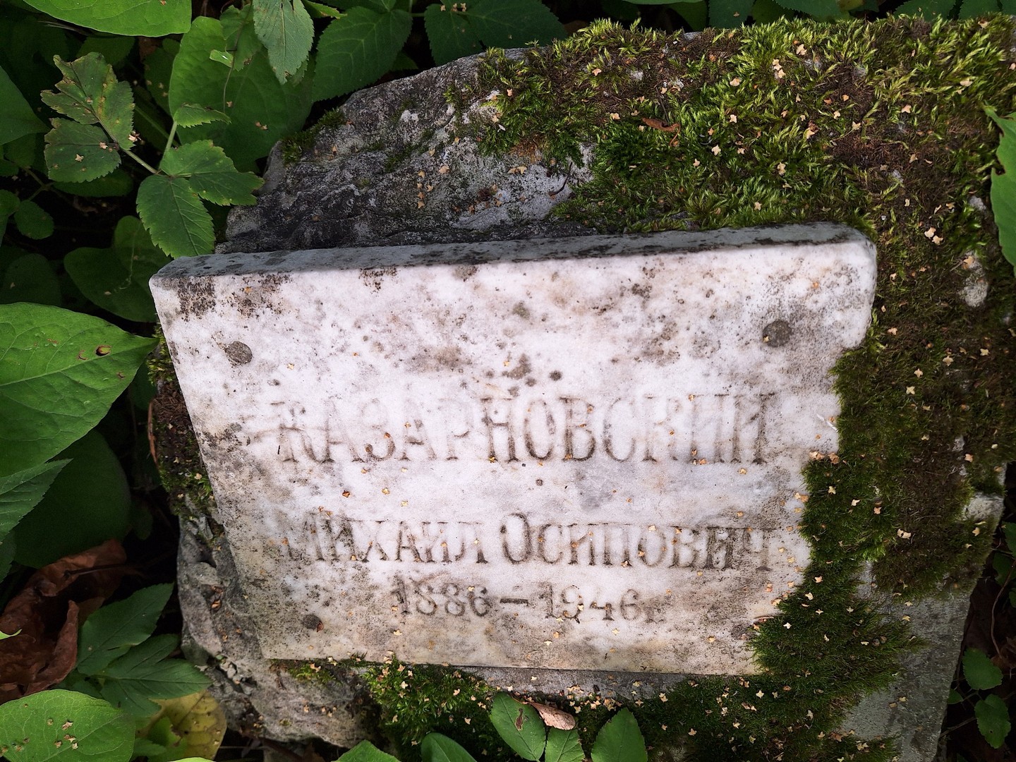 Казарновский