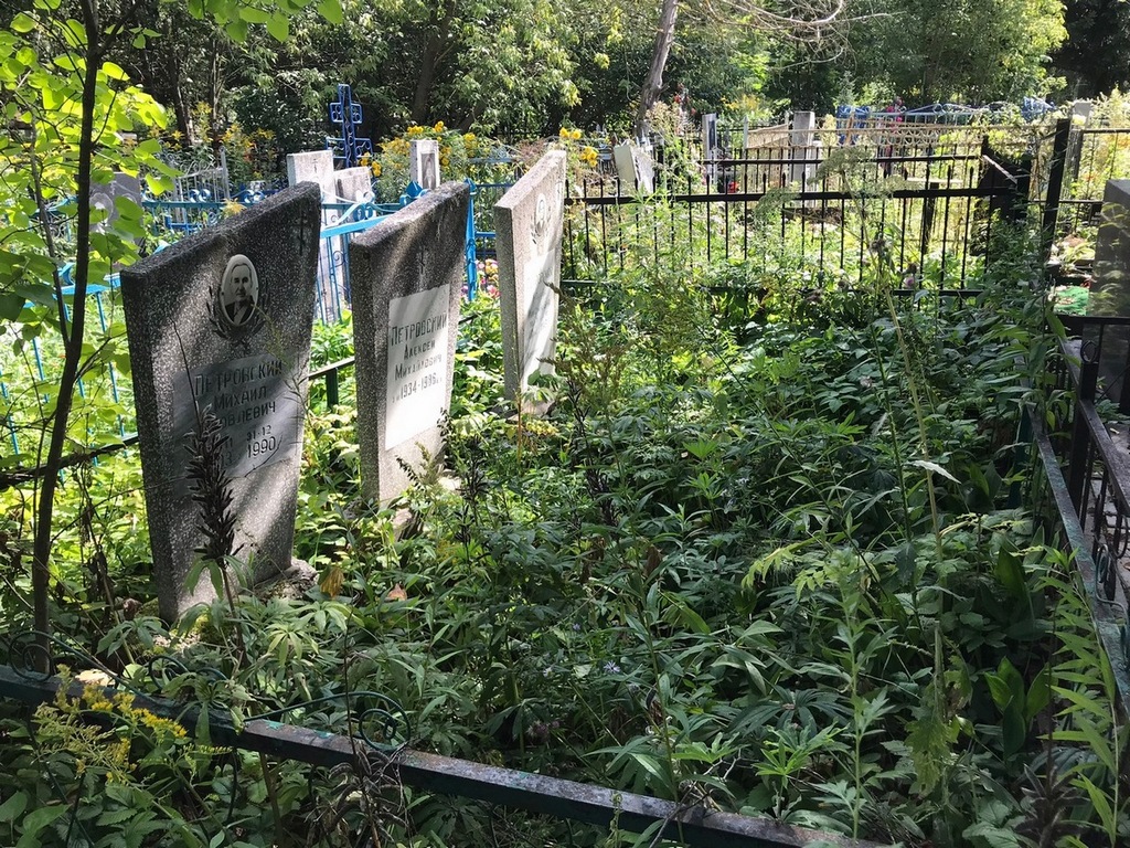 Петровский Михаил Яковлевич