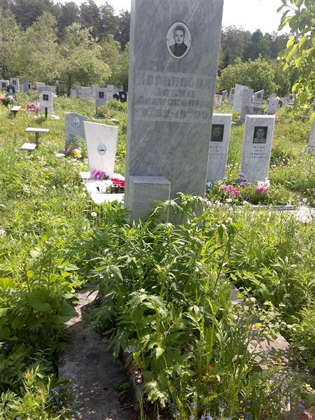 Корнилова Елена Алексеевна