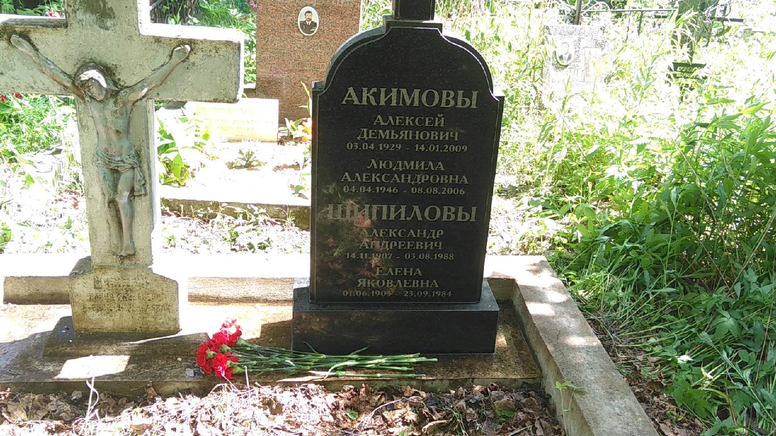 Шипилова Елена Яковлева
