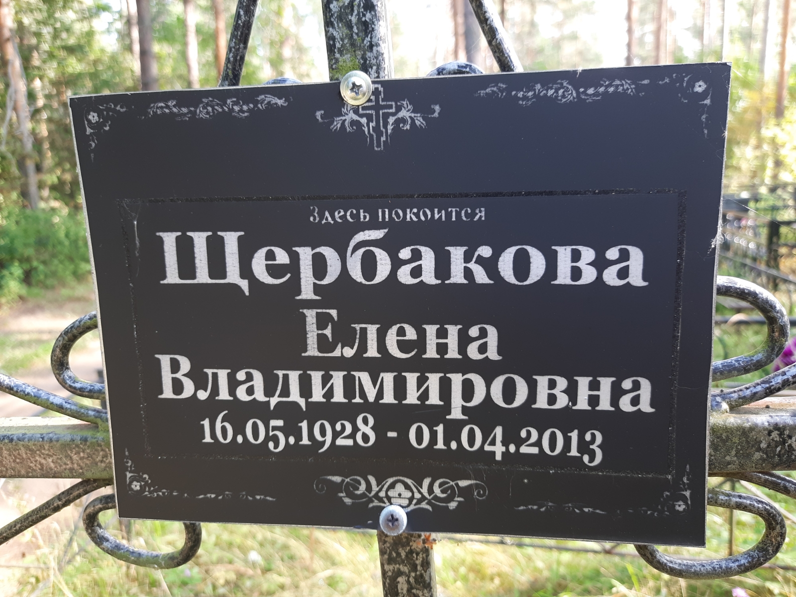 Щербакова Елена Владимировна