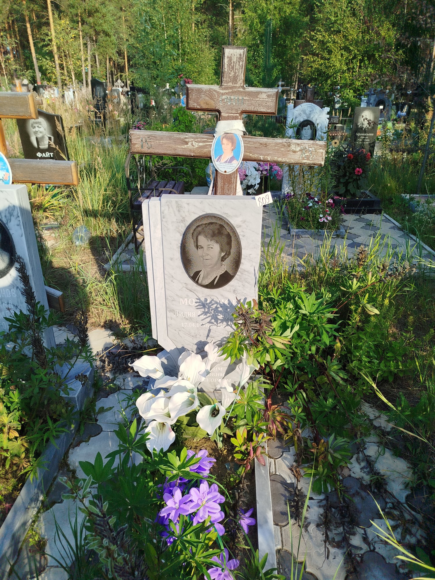 Молчанова Лидия Александровна