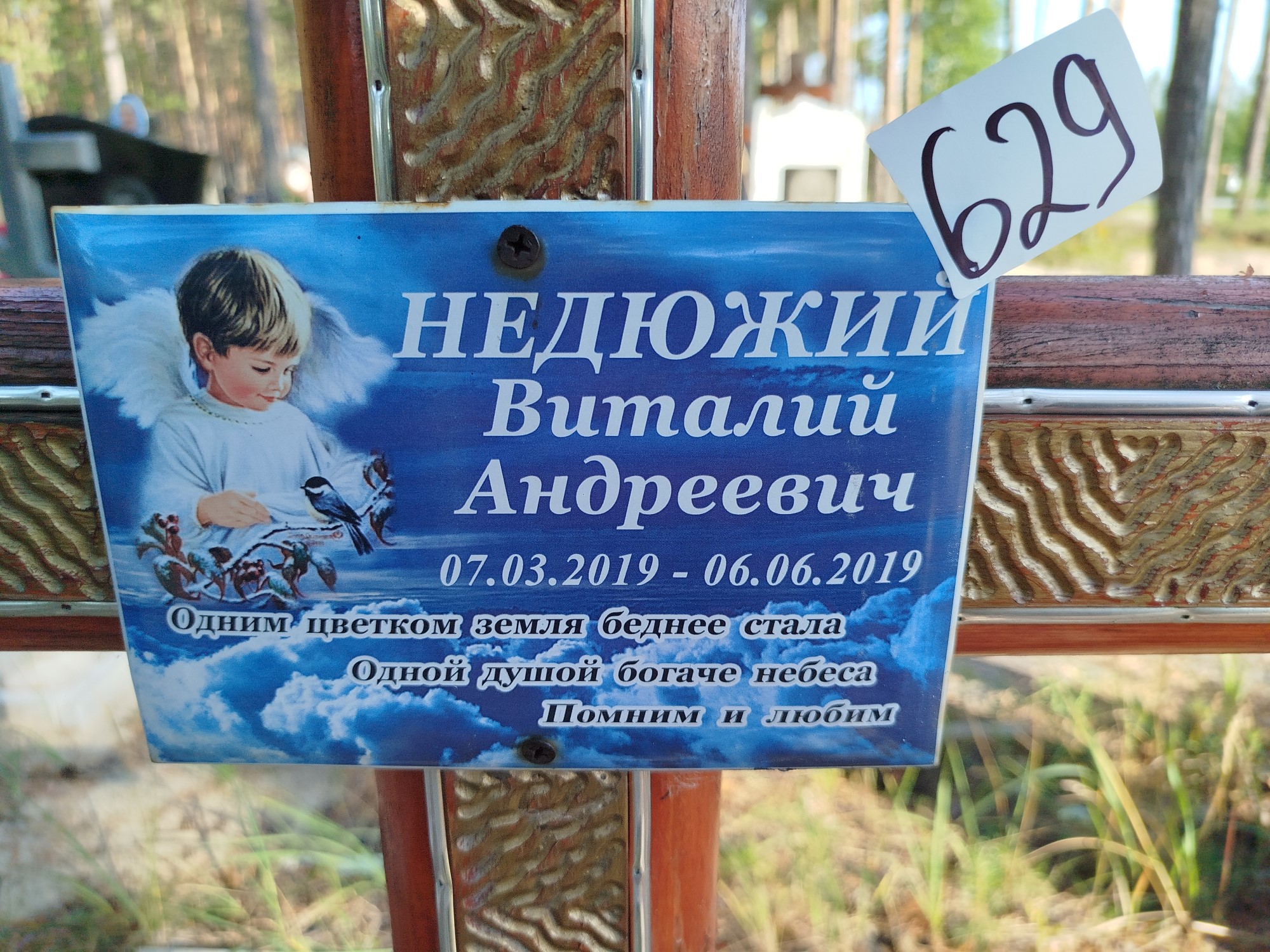 Недюжий Виталий Андреевич