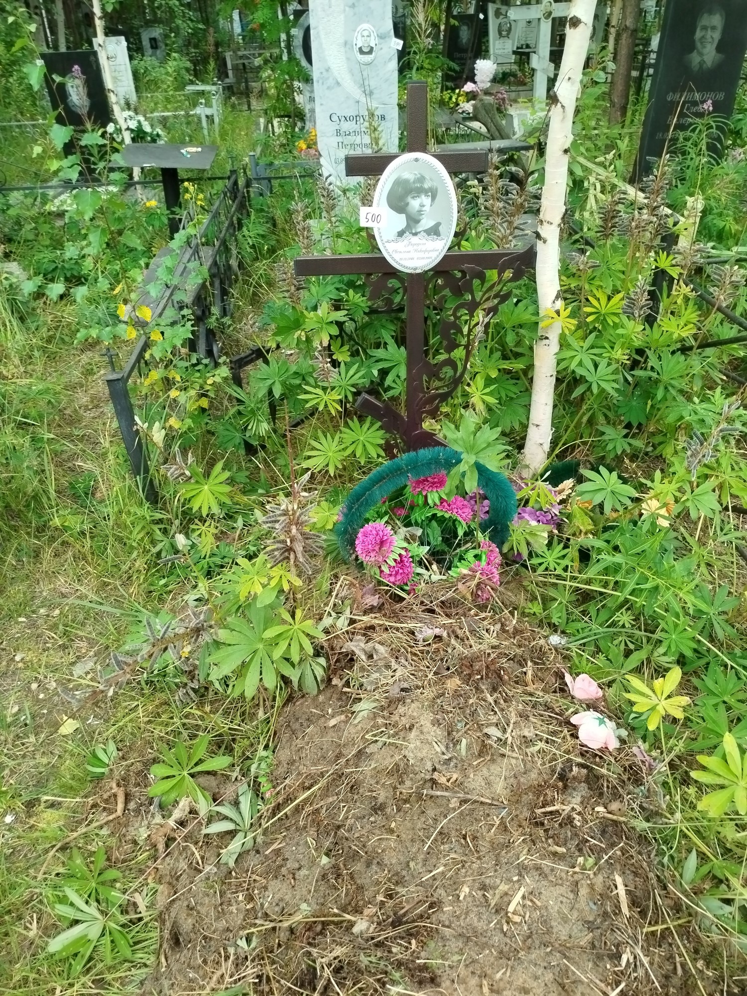 Бородина Светлана Никифоровна