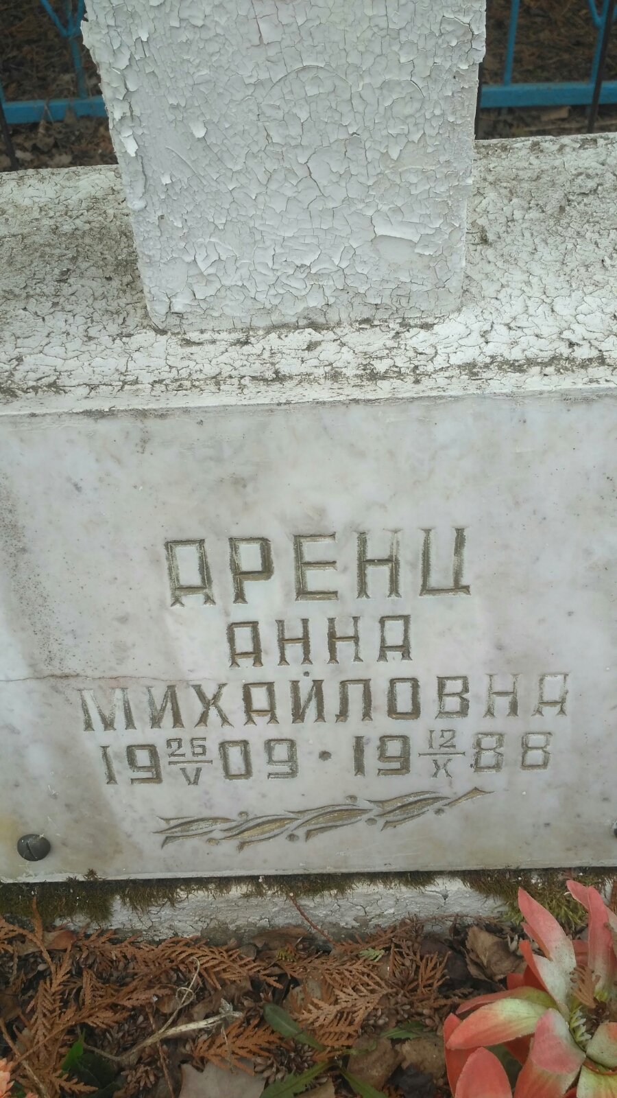 Аренц Анна Михайловна