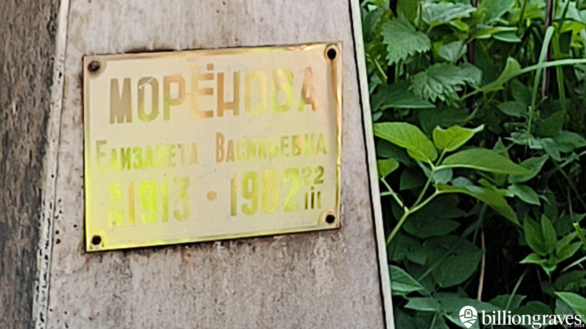 Морёнова Елизавета Васильевна