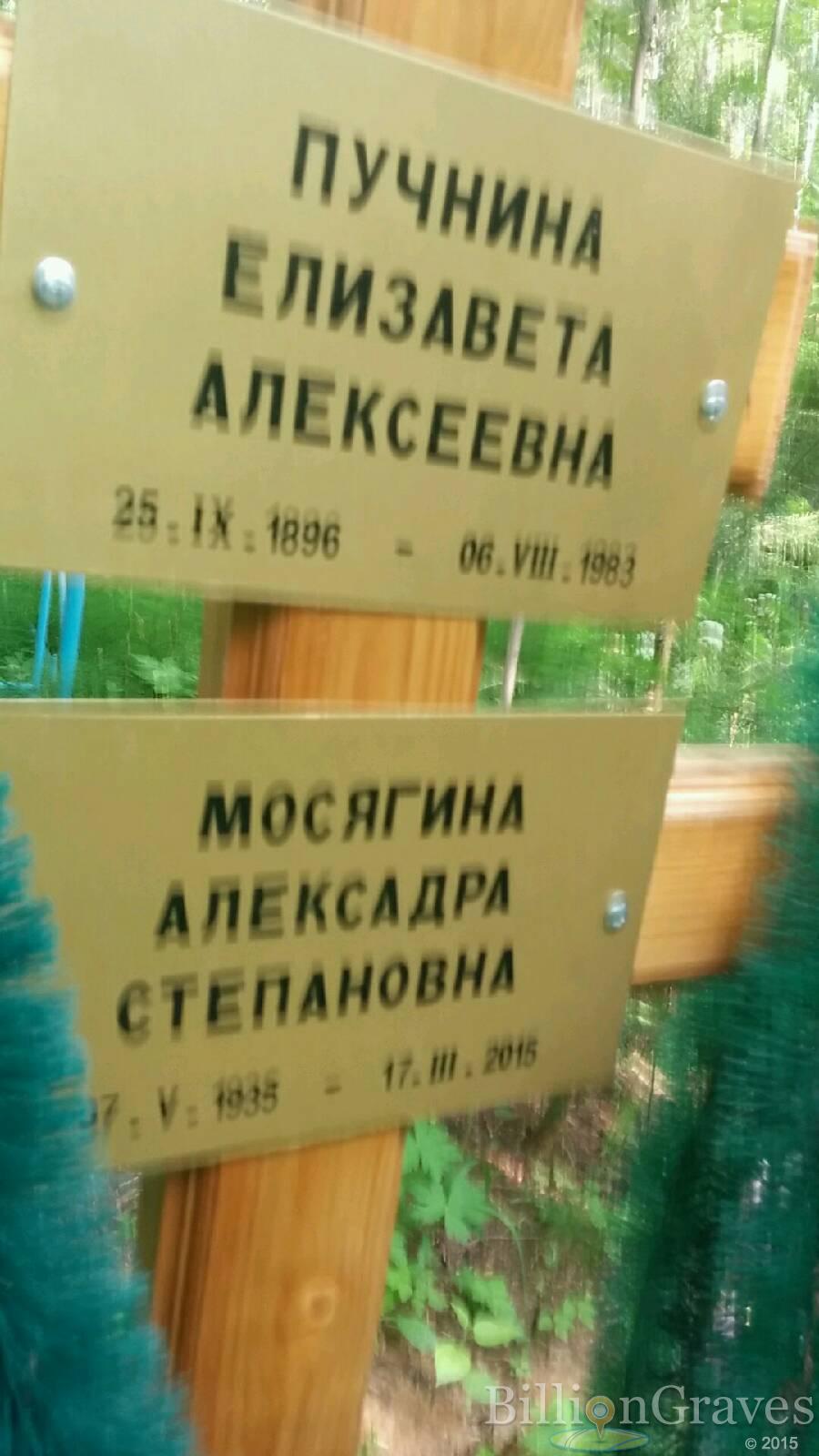 Пучнина Елизавета Алексеевна