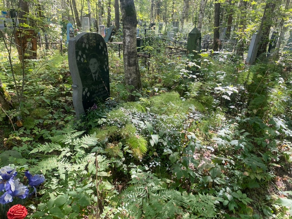 Голышев Игорь Иванович