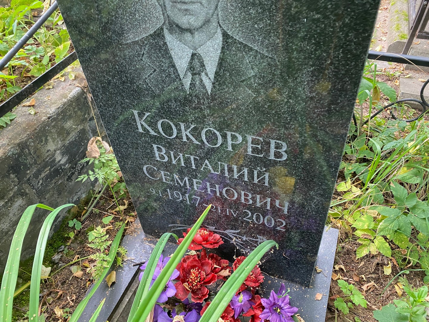 Кокорев