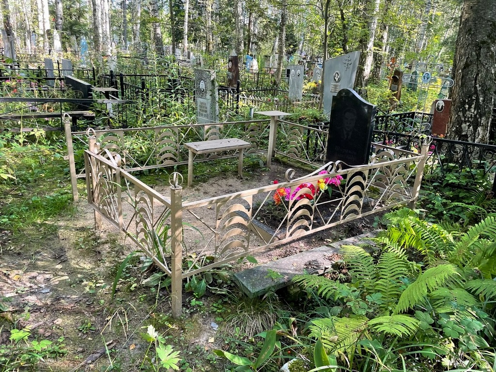 Широков Александр Георгиевич