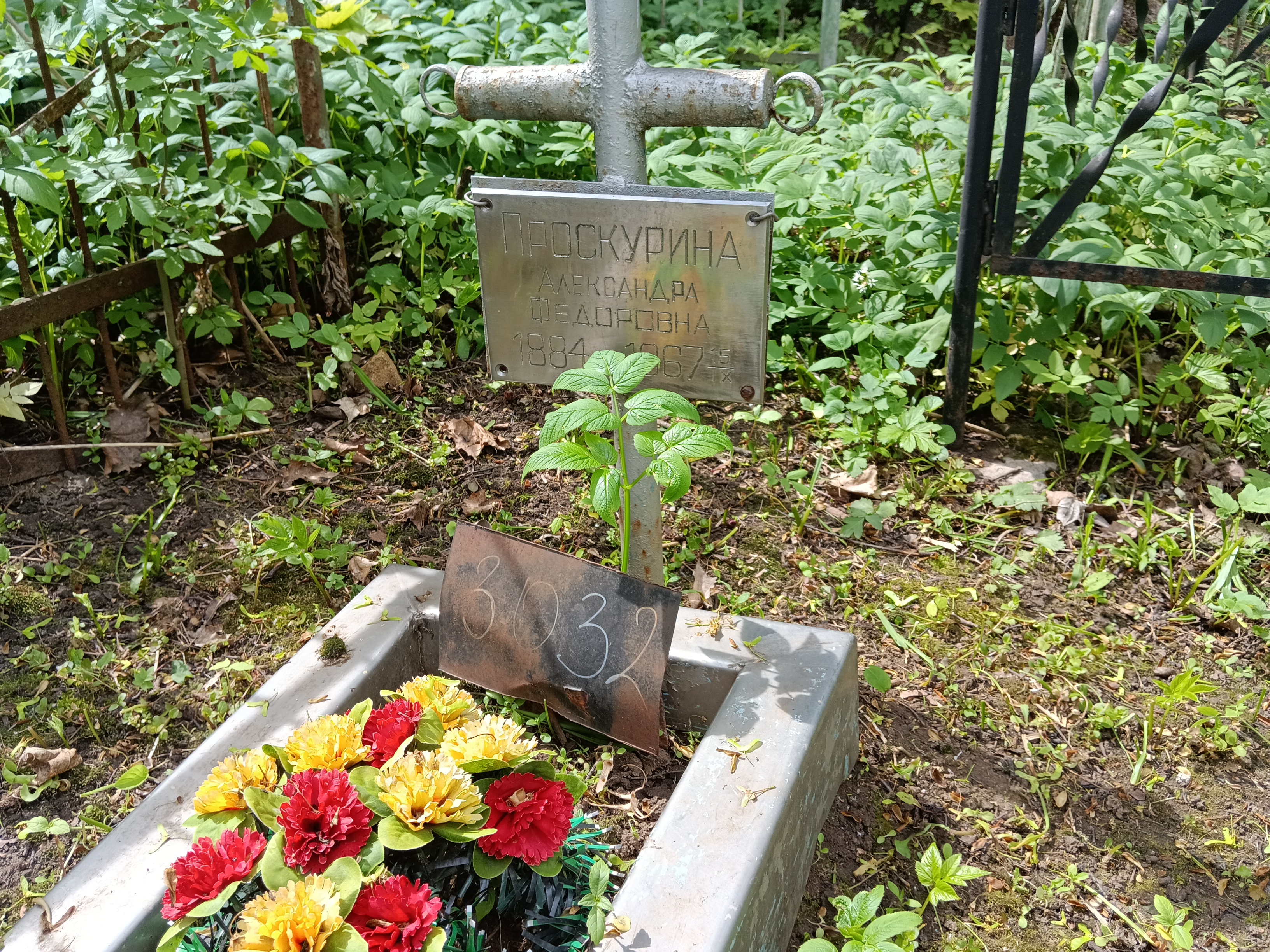 Проскурина Александра Федоровна