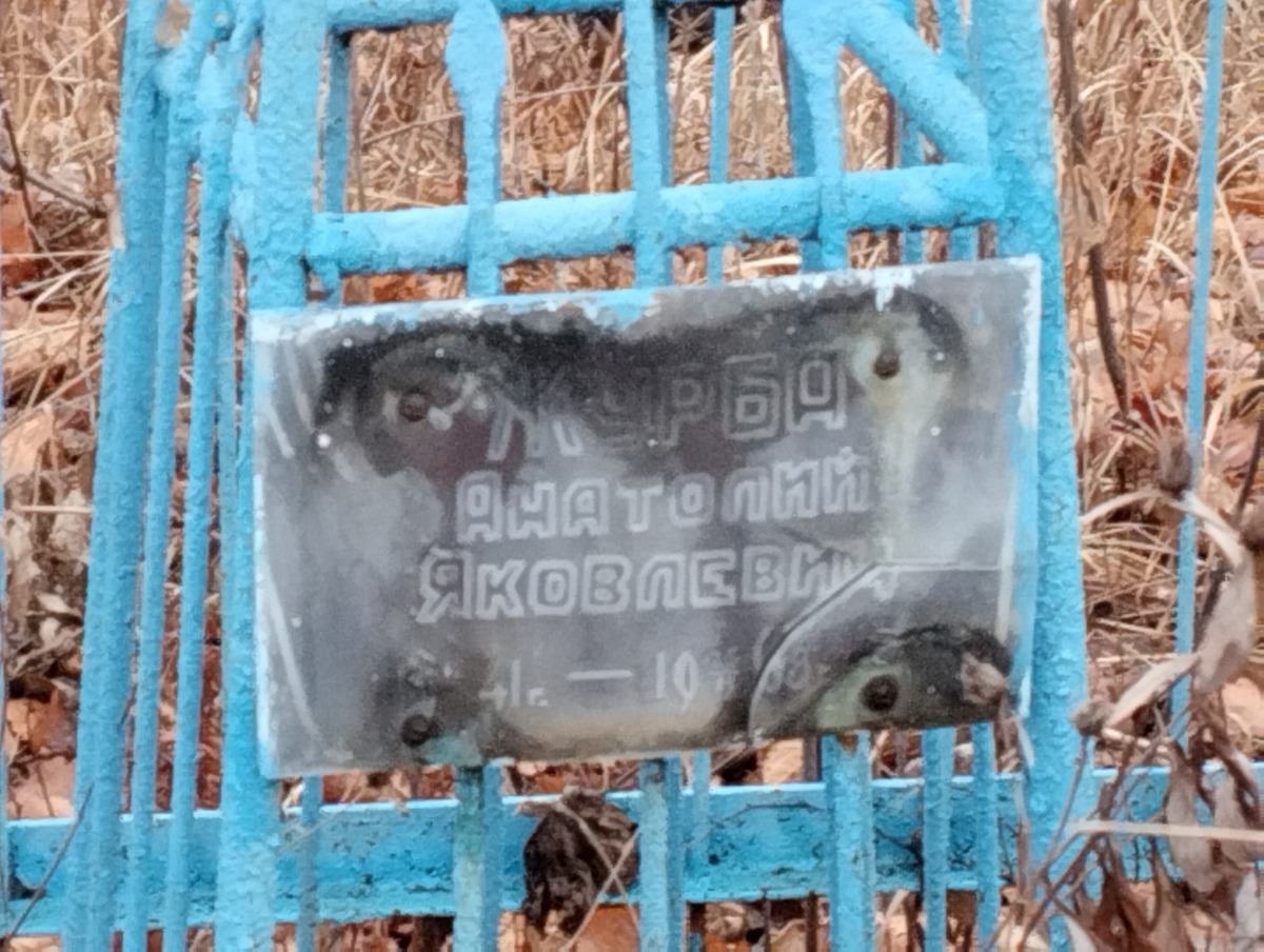 Журба Анатолий Яковлевич