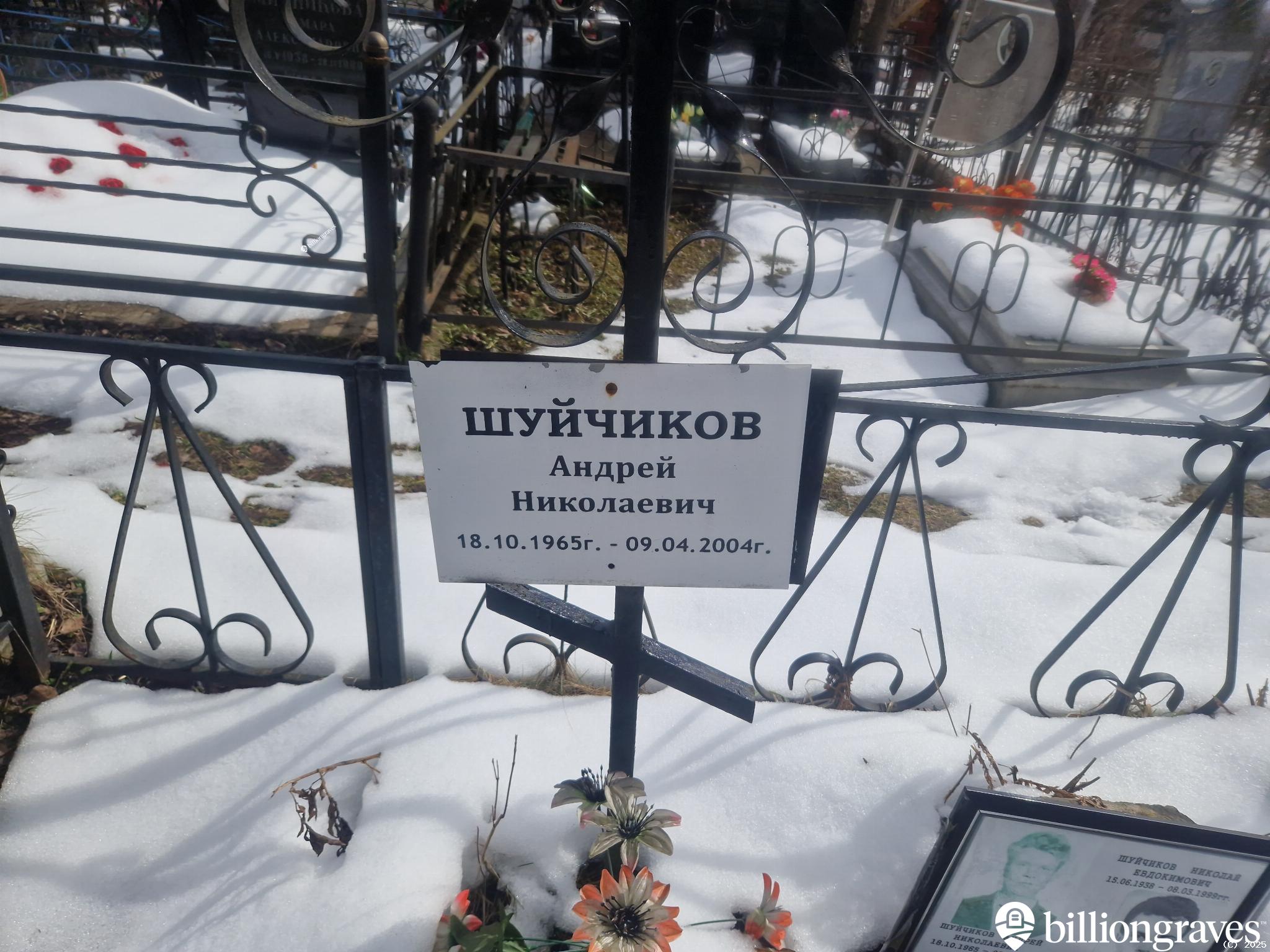 Шуйчиков Андрей Николаевич