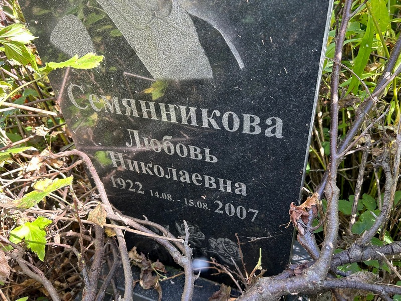 Семянникова