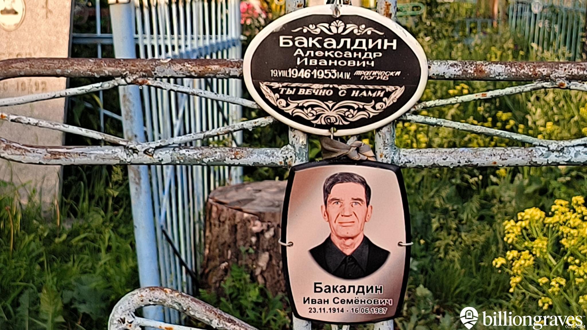 Полазанова Анастасия Павловна