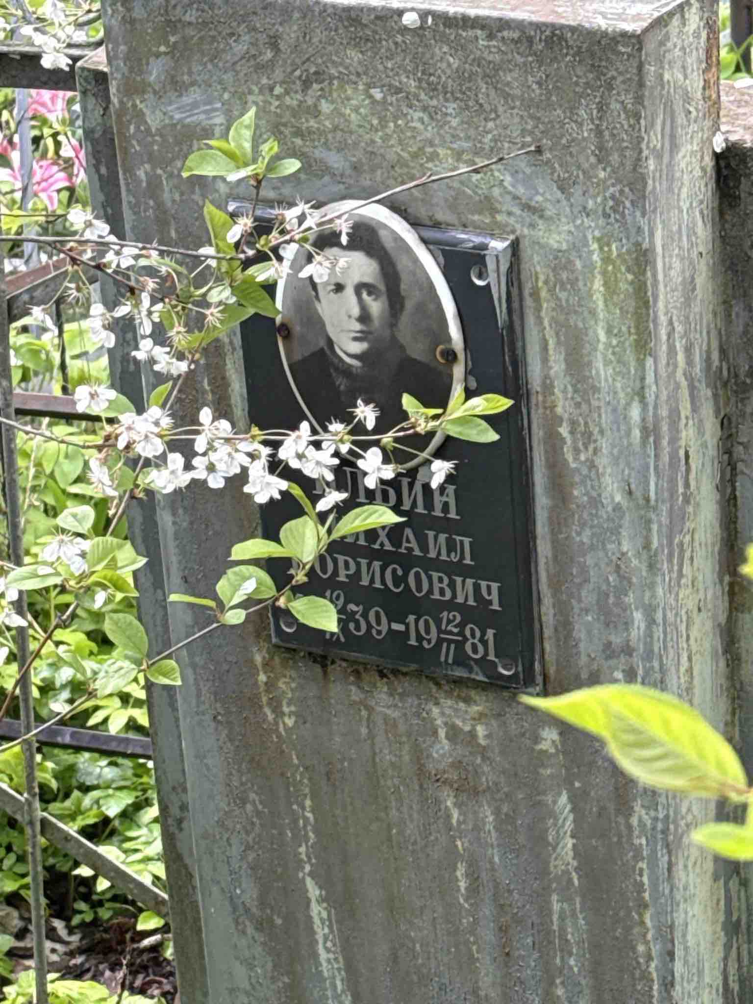 Ильин Михаил Борисович