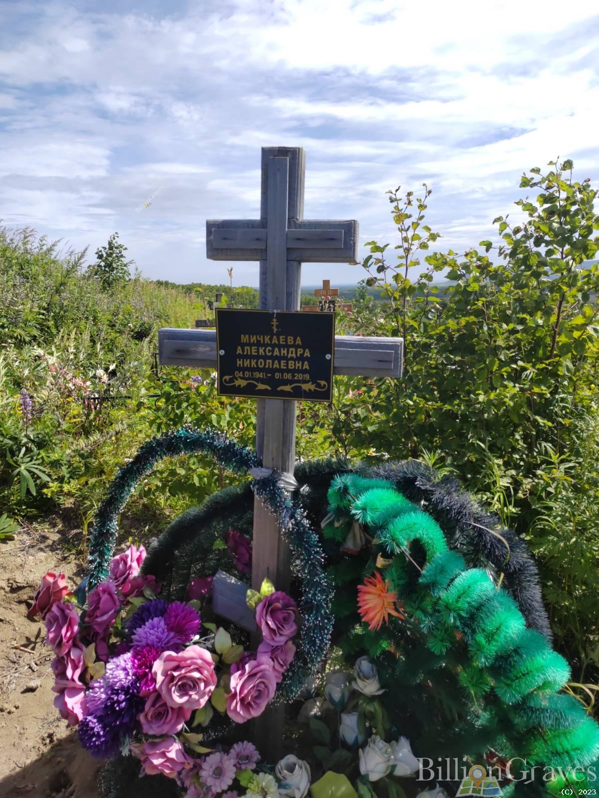 Мичкаева Александра Николаевна