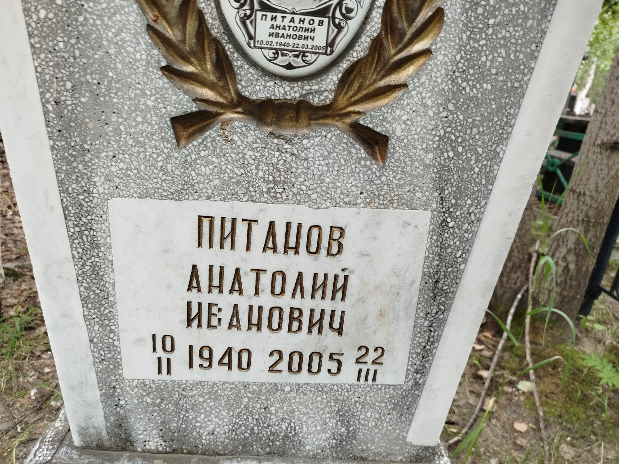Питанов Анатолий Иванович
