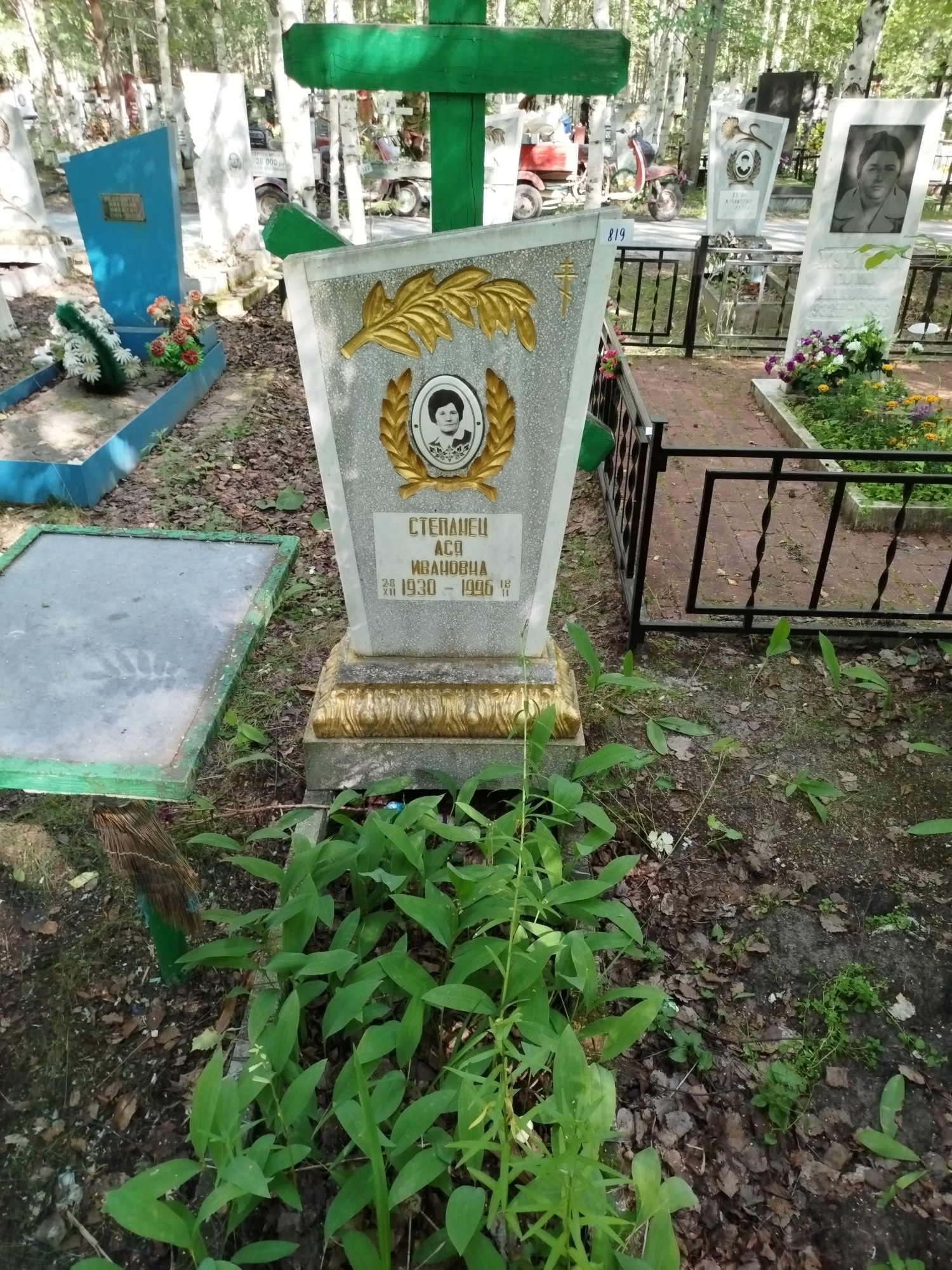 Степанец Ася Ивановна