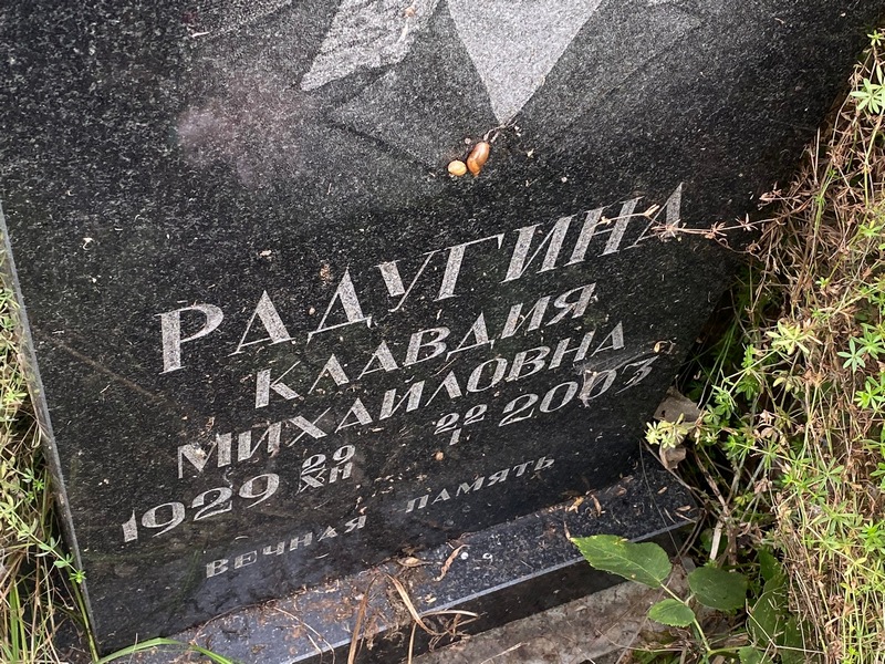 Радугина