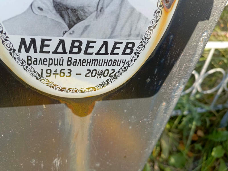 Медведев