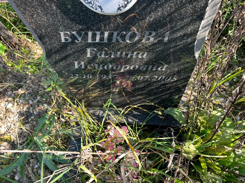 Бушкова