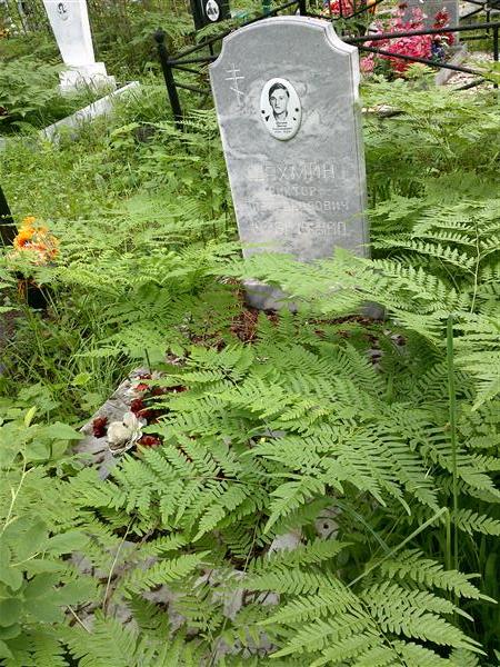 Шахмин Виктор Александрович