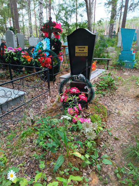 Гиниятов Ильдар Миннимуллович