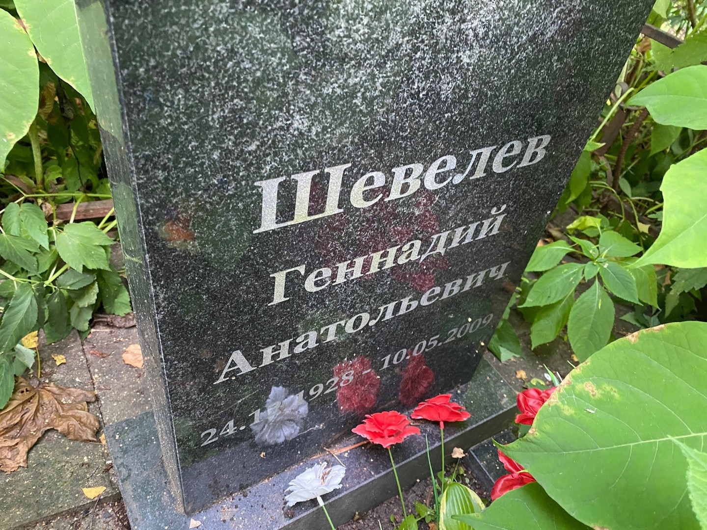 Шевелев
