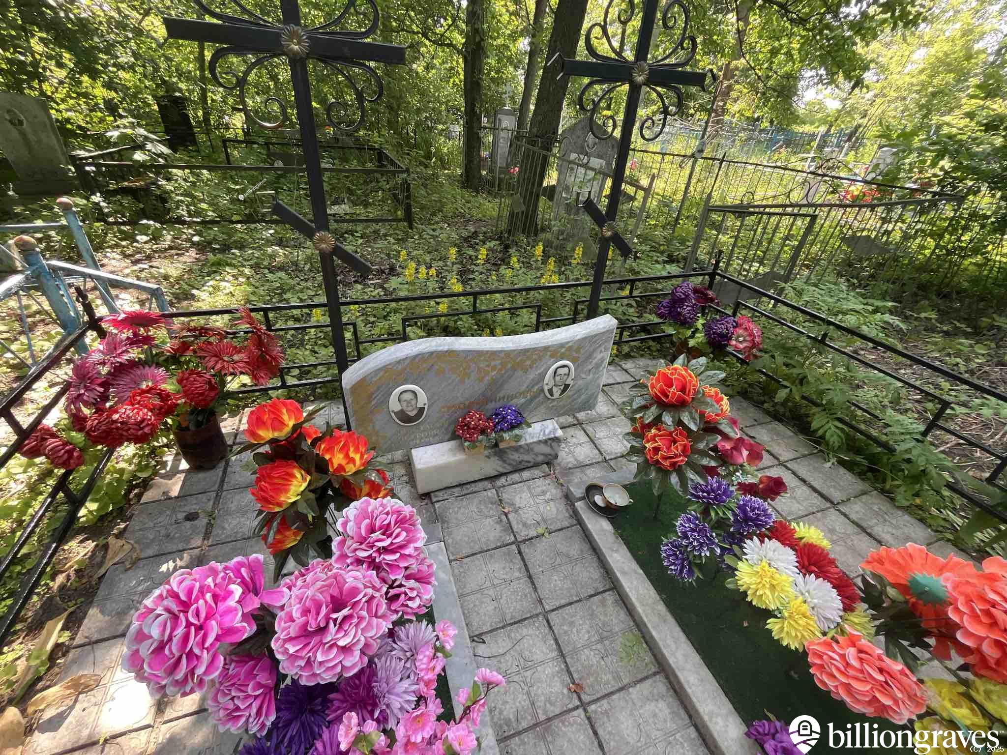 Смольянинова Анастасия Петровна