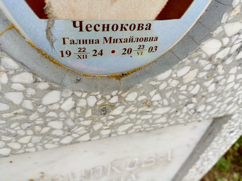 Чеснокова