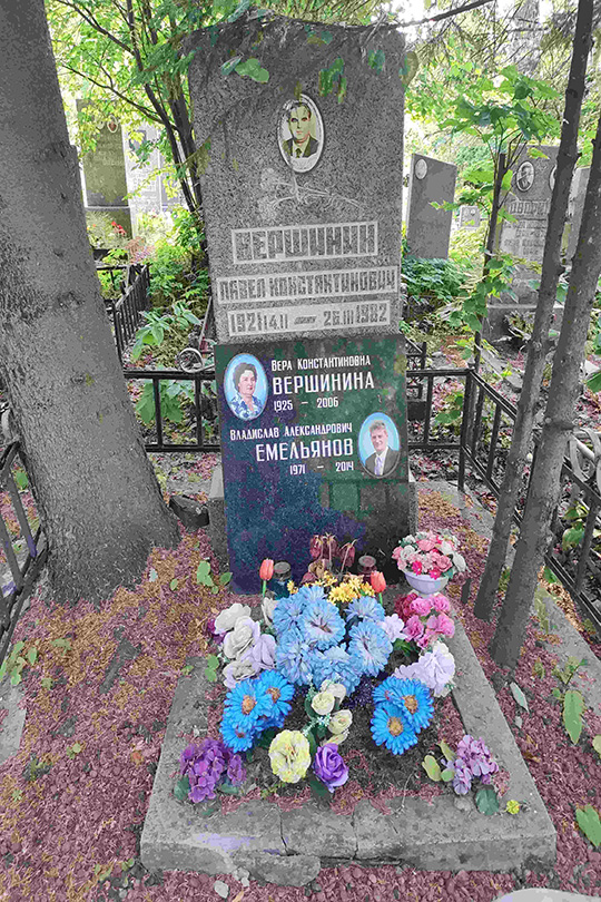 Емельянов Владислав Александрович
