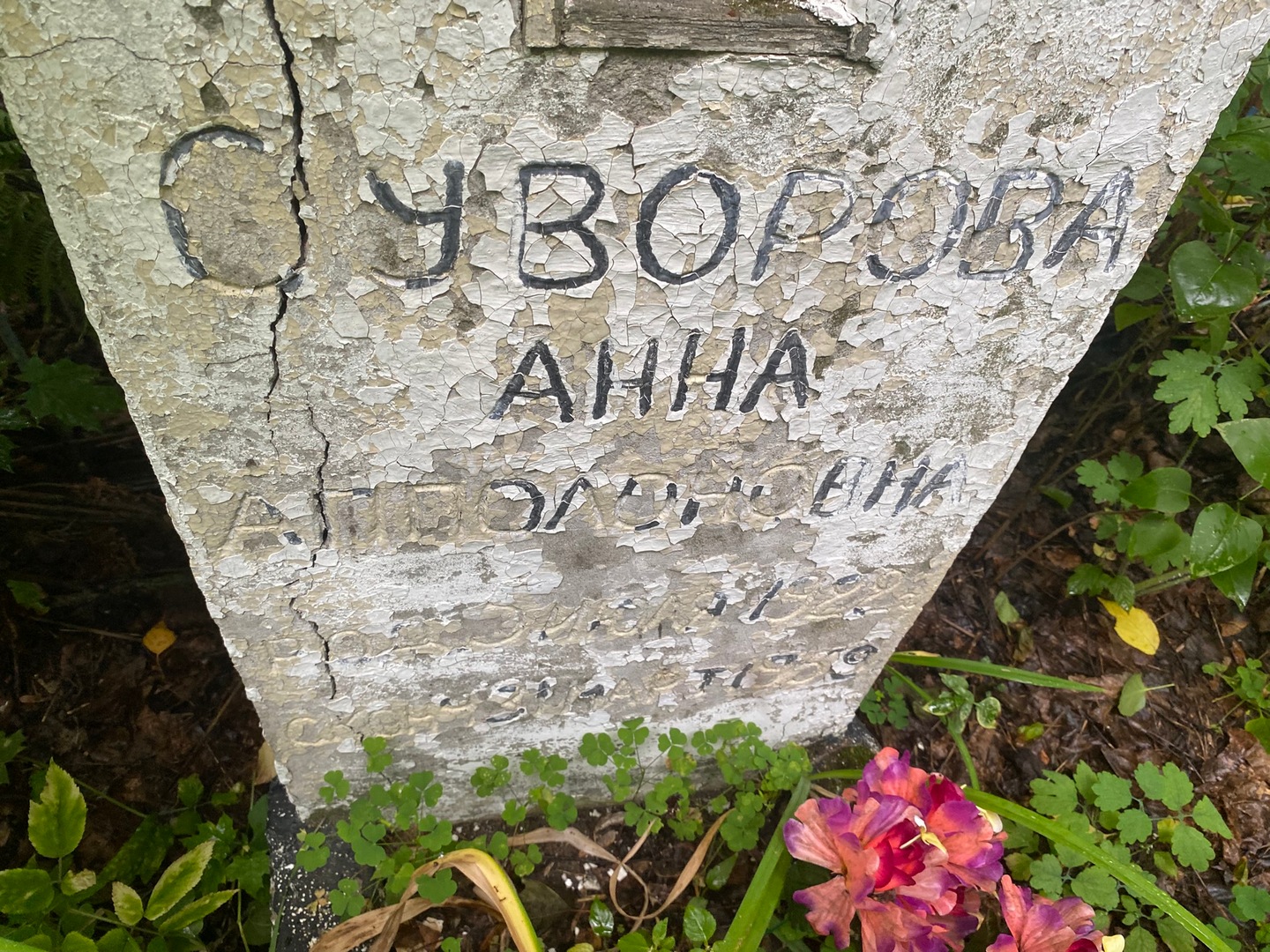 Суворова