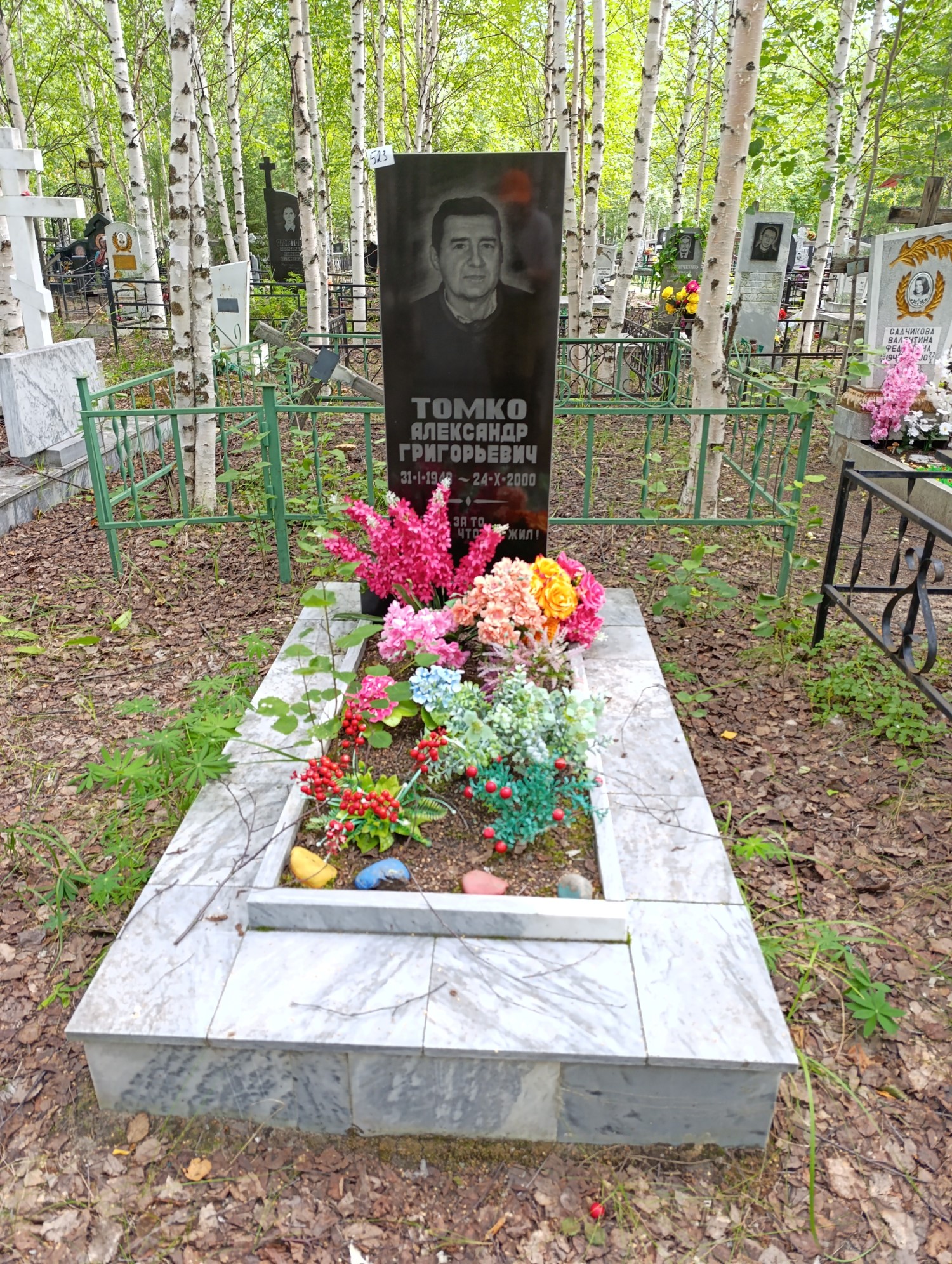 Томко Александр Григорьевич