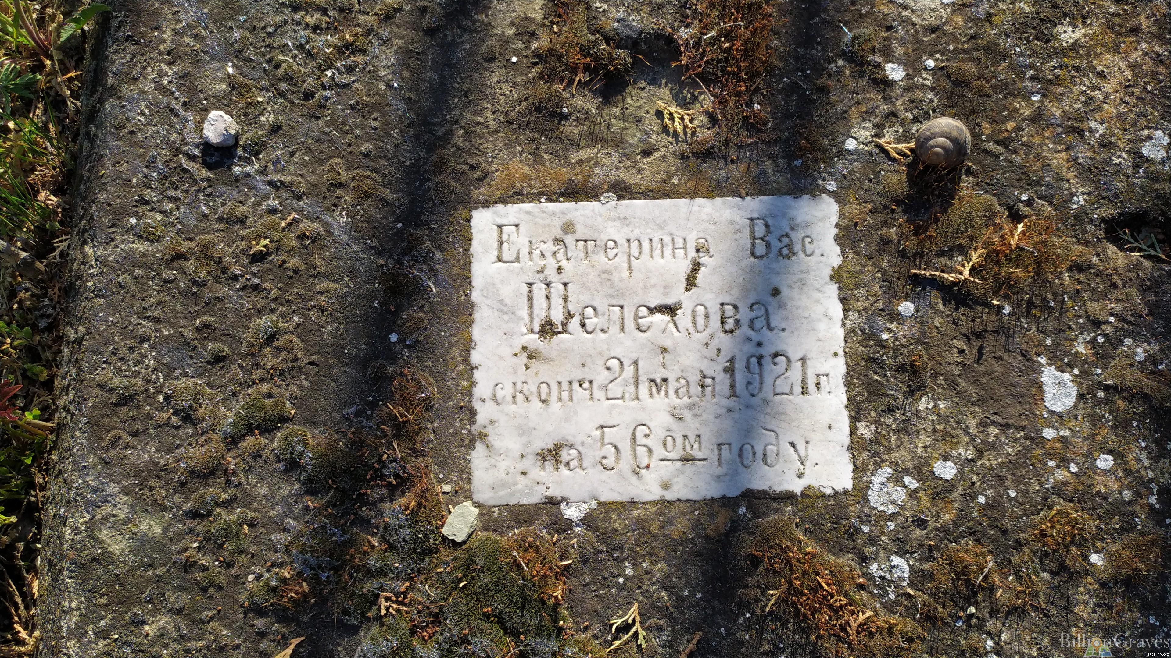 Шелехова Екатерина Вас.