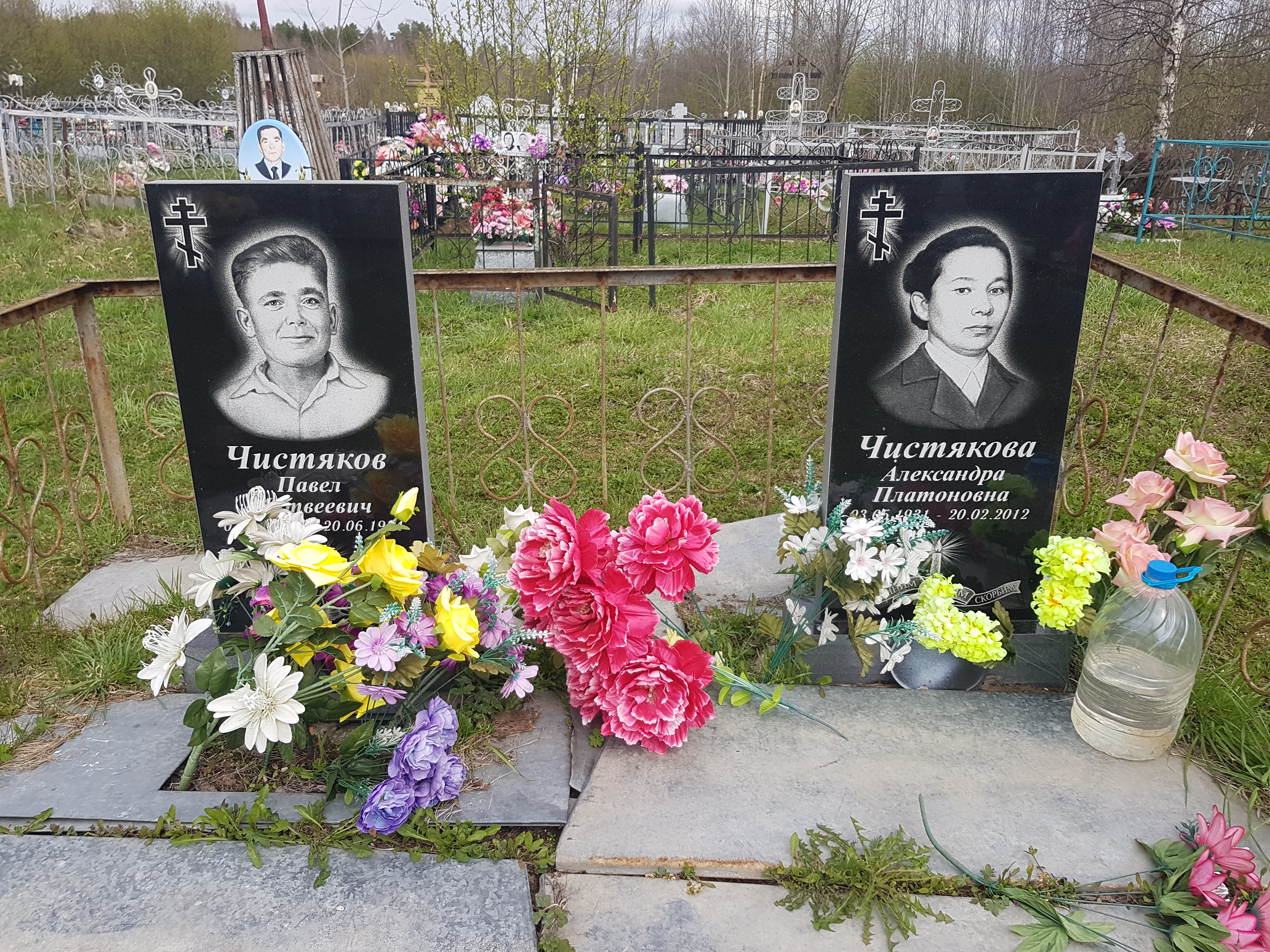 Чистякова Александра Платоновна