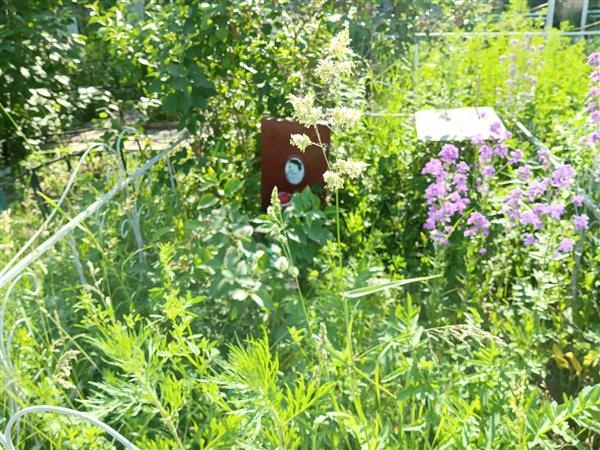 Патрушева Элита Анатольевна