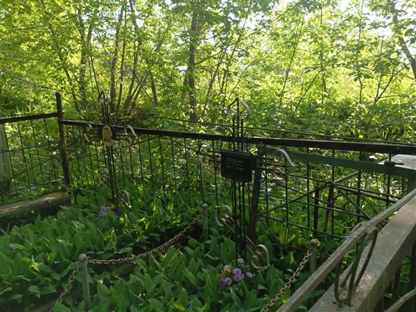 Михелис Яков Петрович