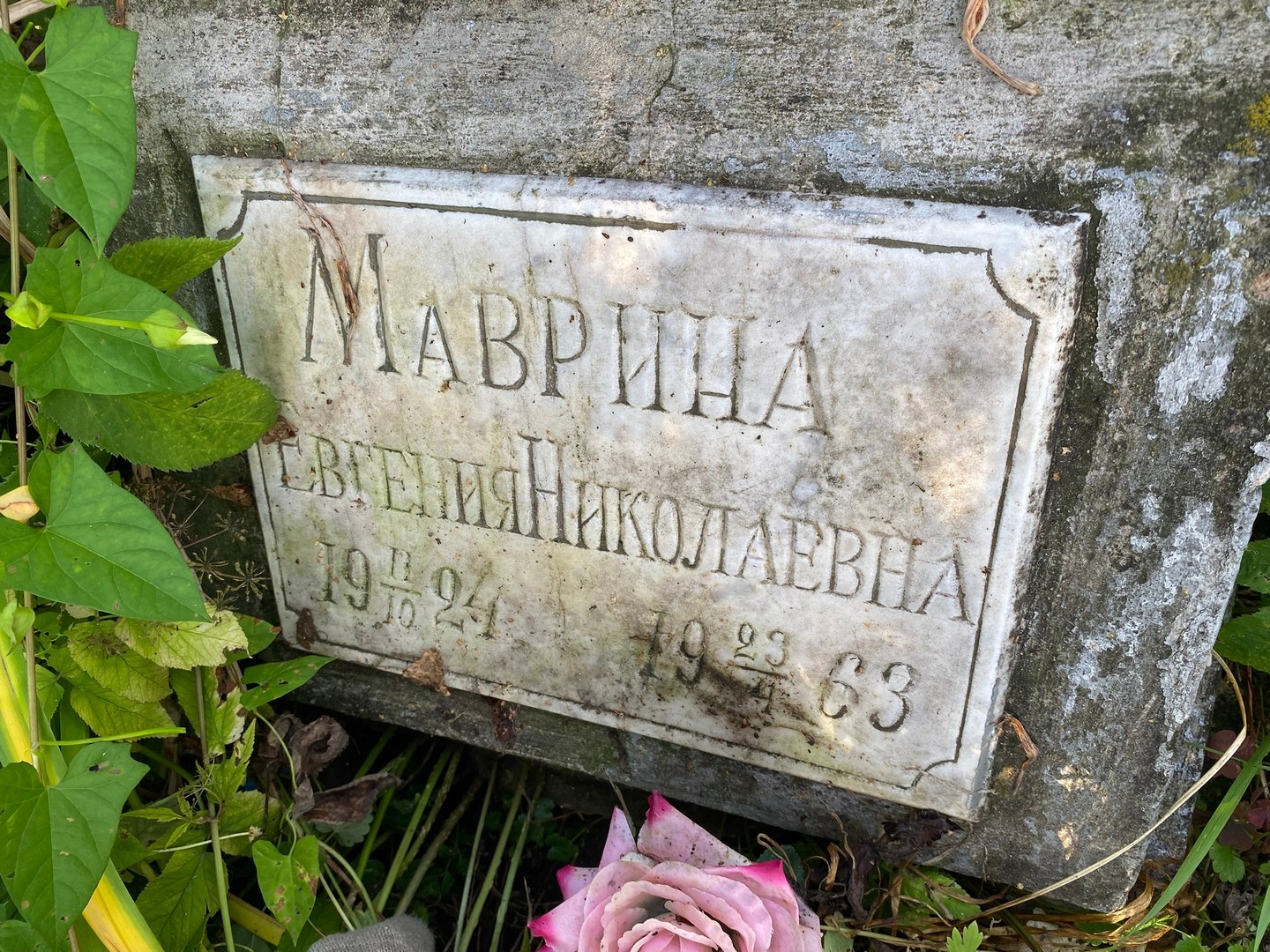 Маврина Евгения Николаевна