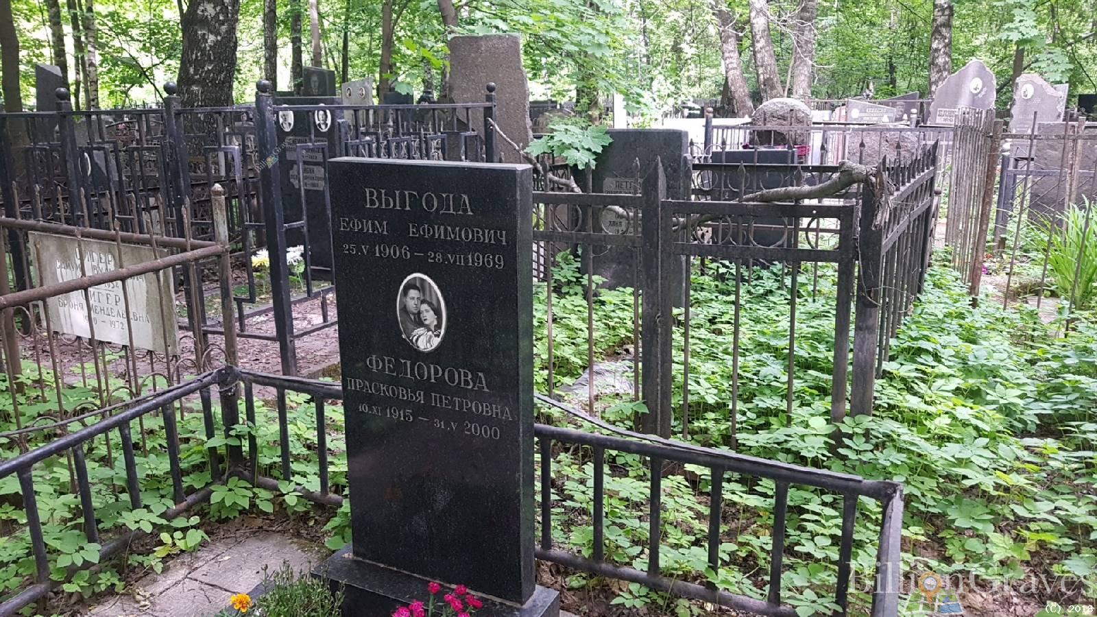 Выгода Ефим Ефимович
