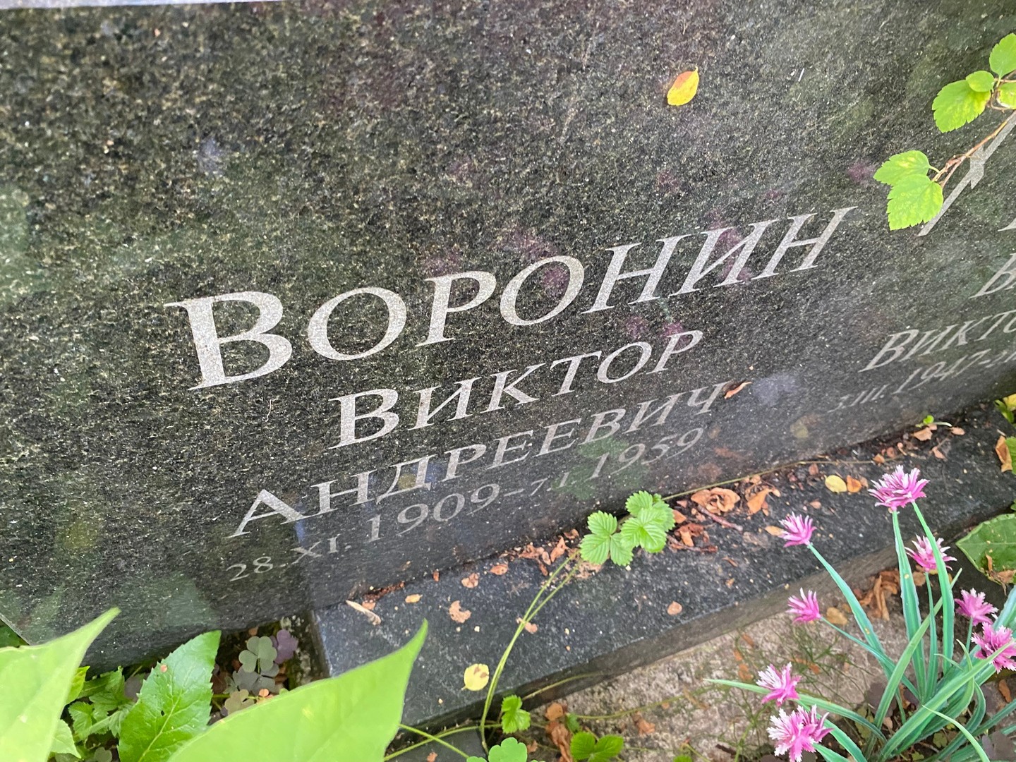 Воронин