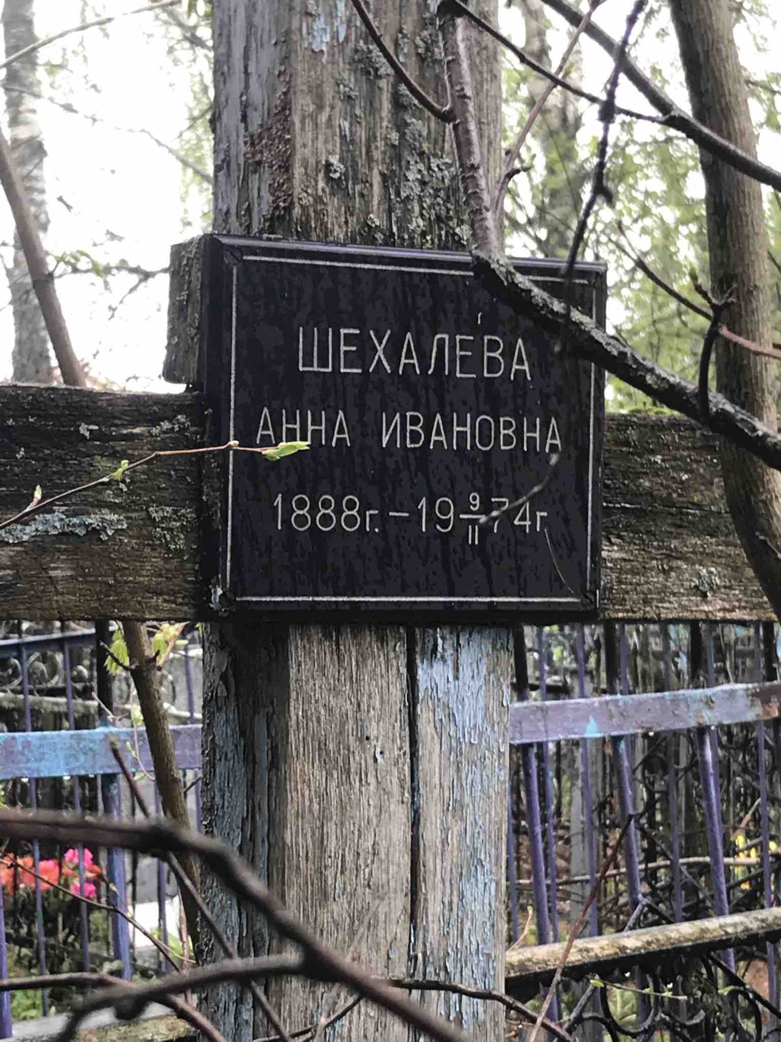 Шехалёва Анна Ивановна