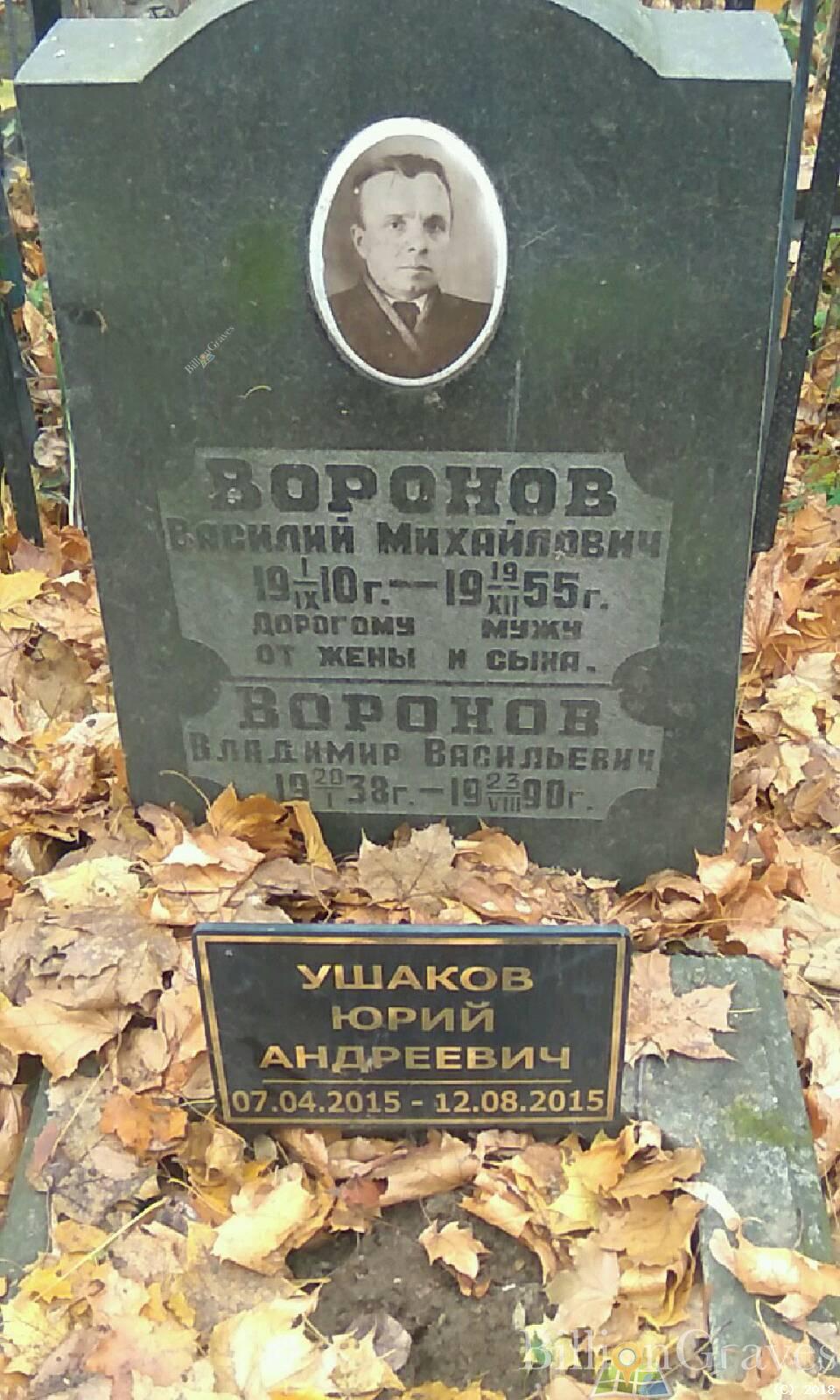 воронов владимир васильевич