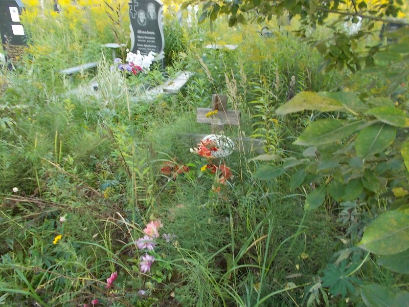 Козлова Луиза Александровна