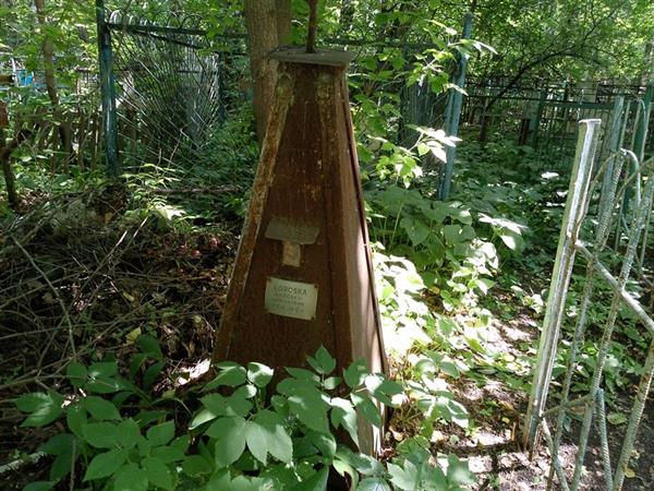 Коробка Аниська Аниськович
