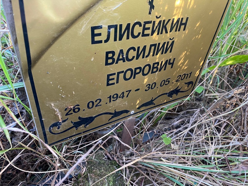 Елисейкин