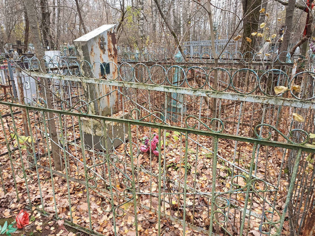 Романова Анастасия Васильевна