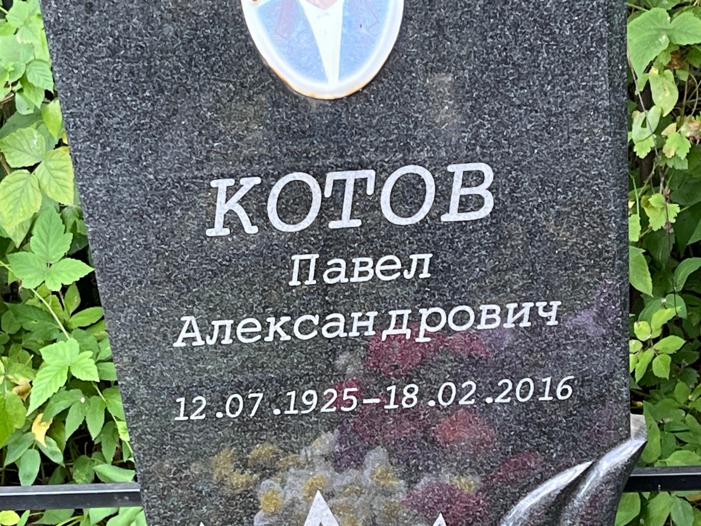 Котов