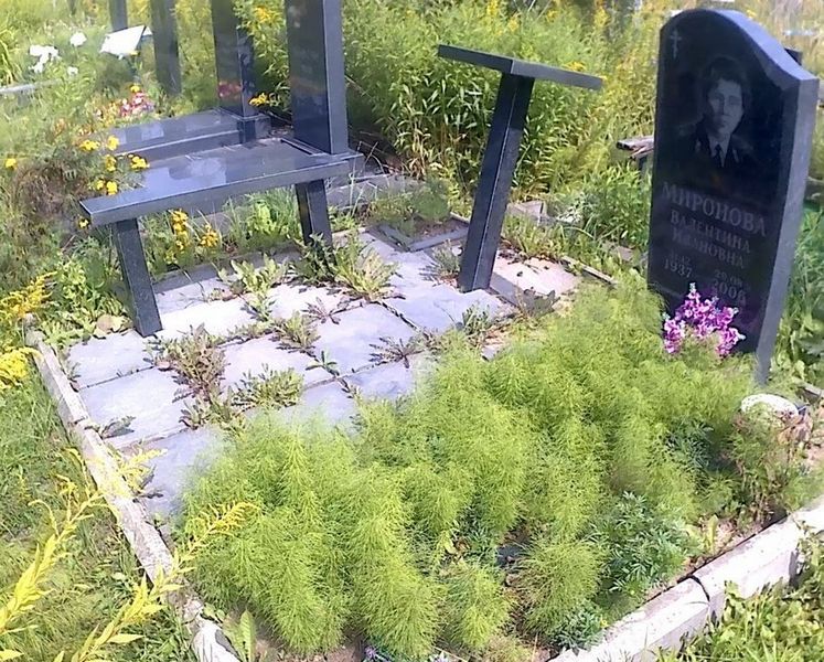 Миронова Валентина Ивановна