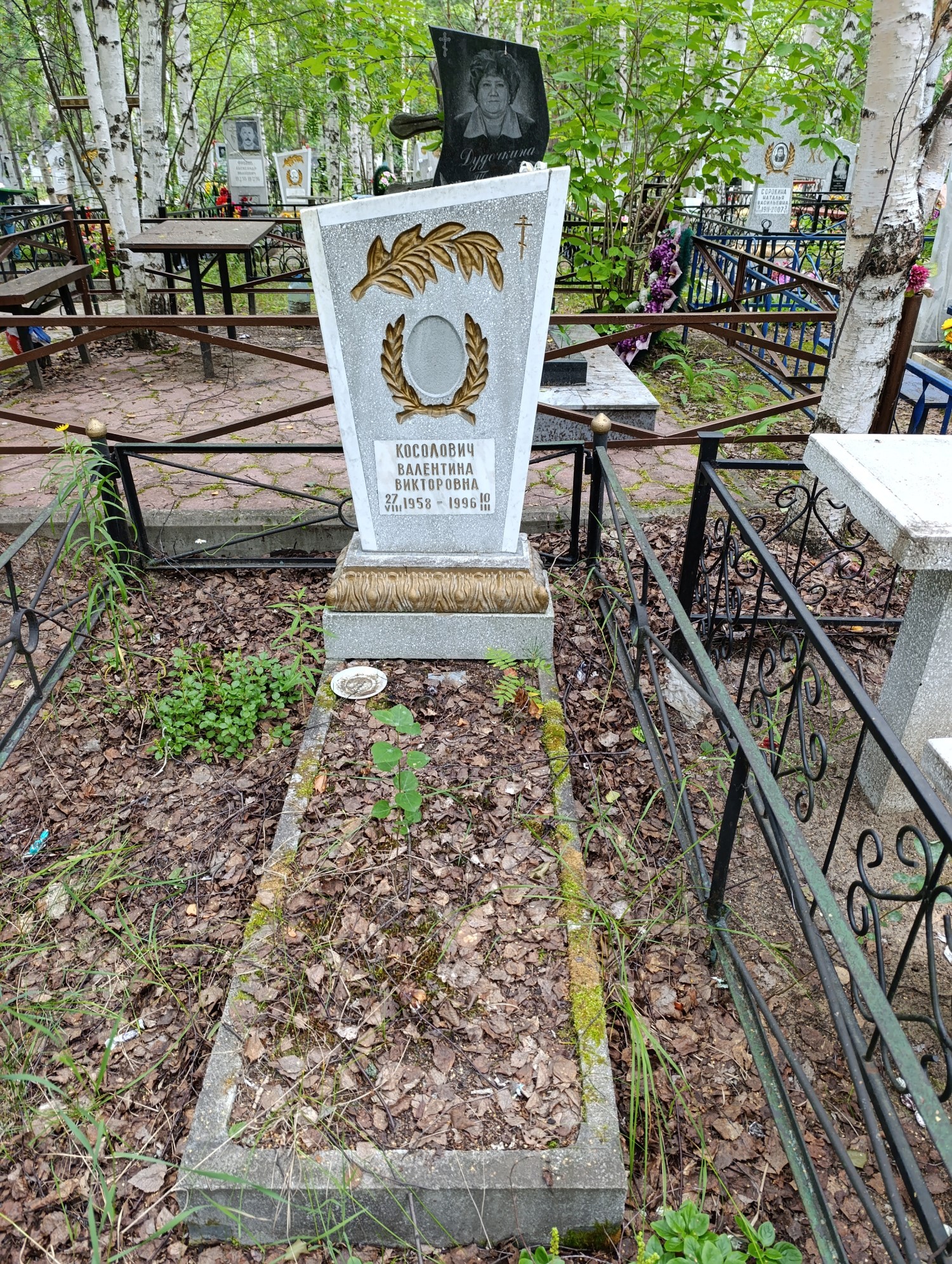 Косолович Валентина Викторовна